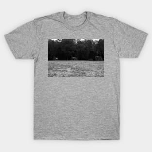 Hazel Grove Chancellorsville  Black and White T-Shirt